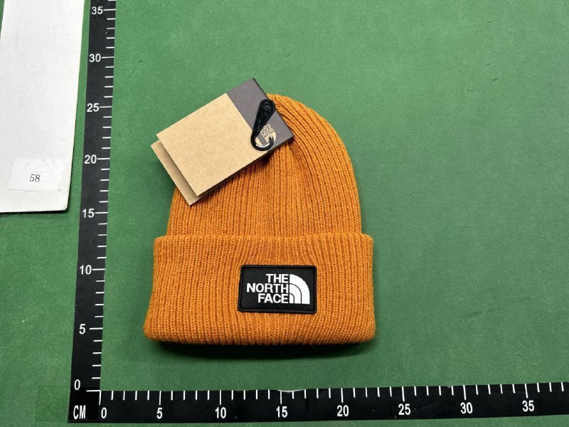 The North Face hat ( 40 colors )