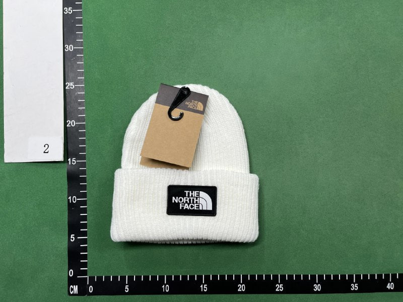 The North Face hat ( 40 colors )