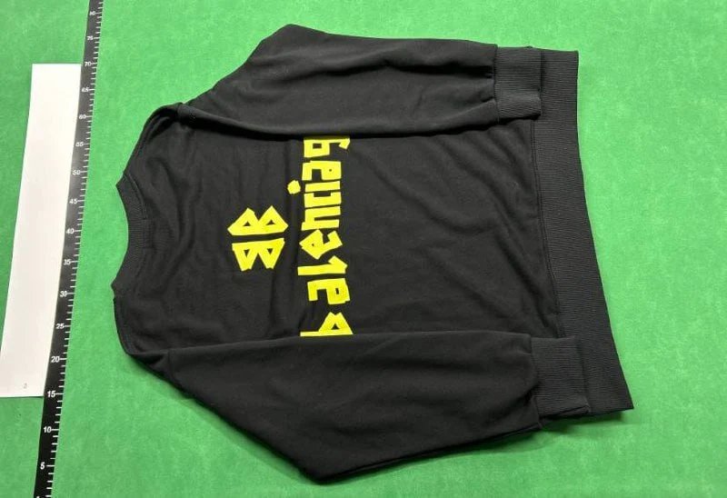 Balenciaga Sweatshirt/Hoodie（40+ Styles）