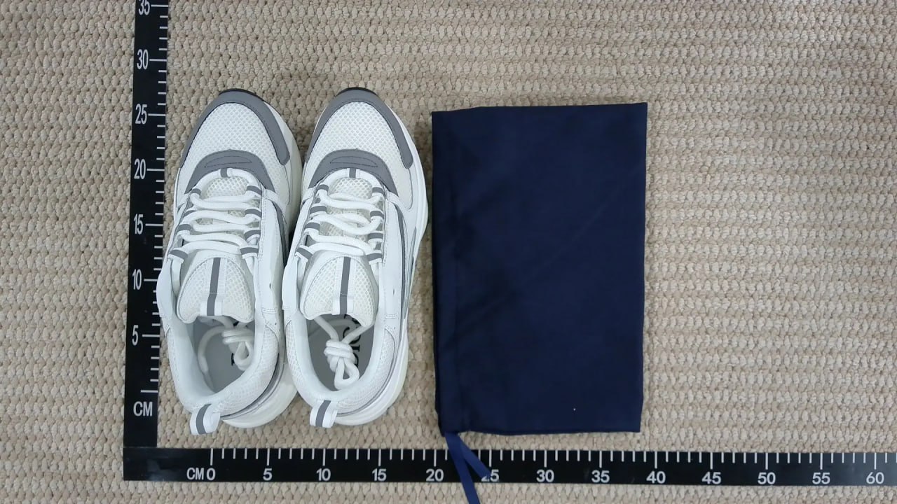 1:1 original dior b22 sneakers （30+）