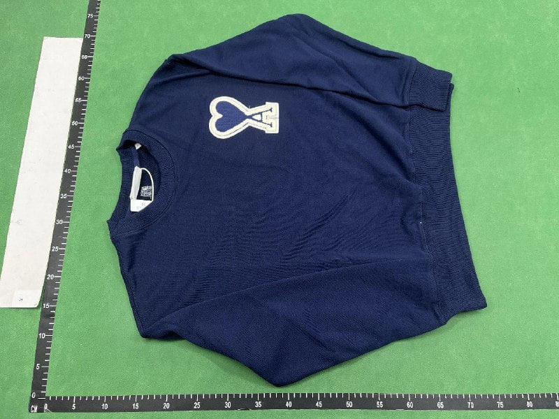 Ami sweatshirt  (31 CP)