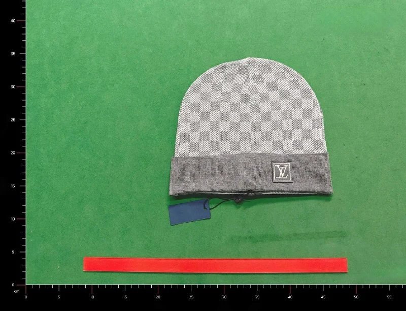 LV Beanie（20+ Styles）